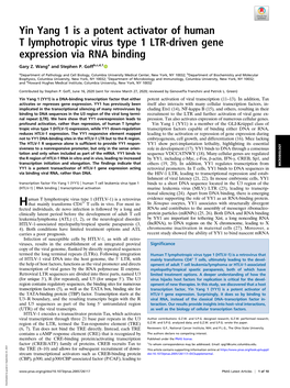 Yin Yang 1 Is a Potent Activator of Human T Lymphotropic Virus Type 1 LTR-Driven Gene Expression Via RNA Binding