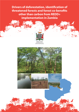 Drivers of Deforestation, Identification of Threatened Forests and Forest Co- Benefits Other Than Carbon from REDD+ Implementation in Zambia