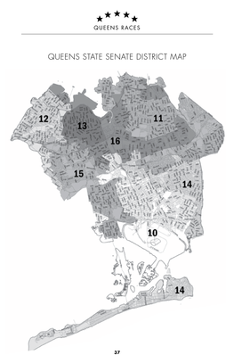 Queens State Senate District Map