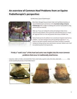 An Overview of Common Hoof Problems from an Equine Podiotherapist's Perspective