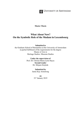 What About Now? on the Symbolic Role of the Mudam in Luxembourg