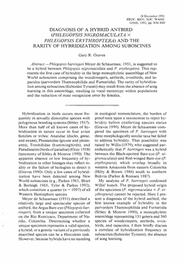 Diagnosis of a Hybrid Antbird {Phlegopsis Nigromaculata X Phlegopsis Erythroptera) and the Rarity of Hybridization Among Suboscines