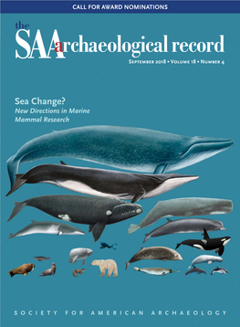 Identifying Whales in the Archaeological Record