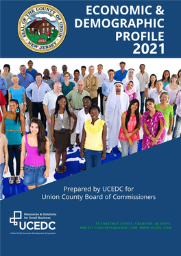 Union County Economic and Demographic Profile
