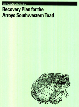 Recovery Plan for the Arroyo Southwestern Toad