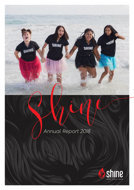 Shineannual Report 2018