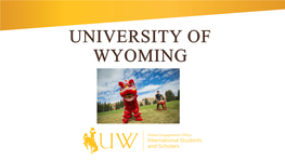 UNIVERSITY of WYOMING Jill Johnson Director Who We Are… Jillj@Uwyo.Edu