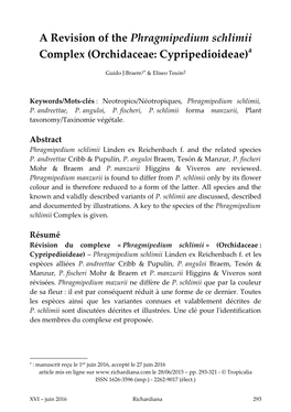 A Revision of the Phragmipedium Schlimii Complex (Orchidaceae: Cypripedioideae)A