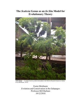 The Scalesia Genus As an in Situ Model for Evolutionary Theory