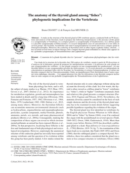 The Anatomy of the Thyroid Gland Among “Fishes”: Phylogenetic Implications for the Vertebrata