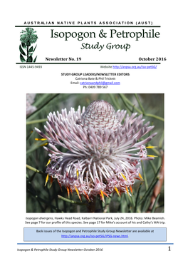 Isopogon Latifolius Which Has the Largest Flowers of All I&Ps, and How to Address Its Reticence in Flowering