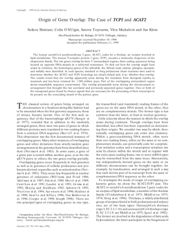 Origin of Gene Overlap: the Case of TCP1 and ACAT2