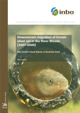 Downstream Migration of Female Silver Eel in the River Meuse (2007-2008)