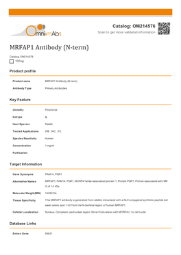 MRFAP1 Antibody (N-Term)