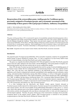 Resurrection of the Octocorallian Genus Antillogorgia for Caribbean