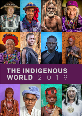 The Indigenous World 2019
