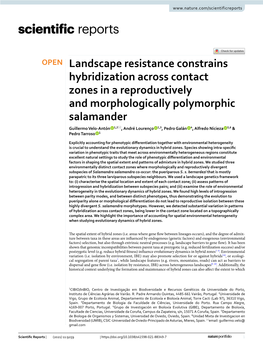 Landscape Resistance Constrains Hybridization Across Contact Zones in a Reproductively and Morphologically Polymorphic Salamande