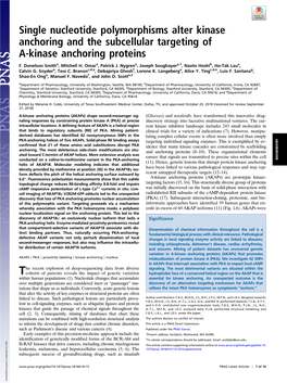 Single Nucleotide Polymorphisms Alter Kinase Anchoring and the Subcellular Targeting of A-Kinase Anchoring Proteins