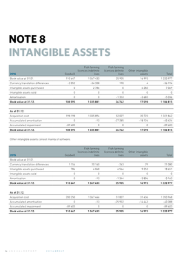 Intangible Assets