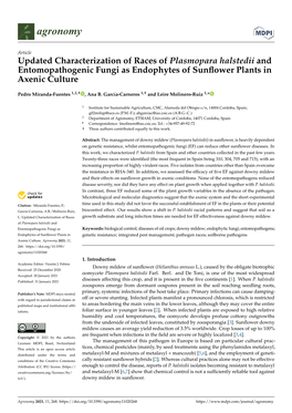 Updated Characterization of Races of Plasmopara Halstedii and Entomopathogenic Fungi As Endophytes of Sunﬂower Plants in Axenic Culture