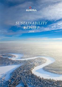 Sustainability Report 2019 About This Report