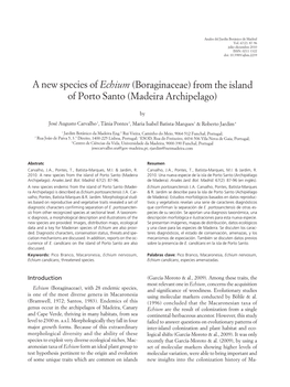 A New Species of Echium (Boraginaceae) from the Island of Porto Santo (Madeira Archipelago)