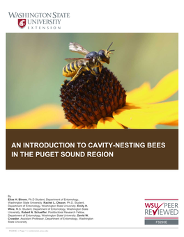 An Introduction to Cavity-Nesting Bees in the Puget Sound Region
