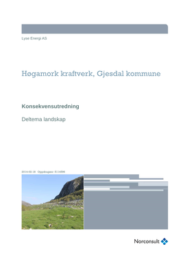 Høgamork Kraftverk, Gjesdal Kommune