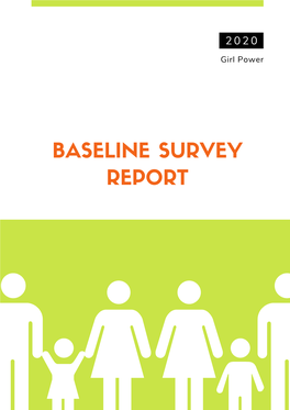 BASELINE SURVEY REPORT Table of Contents