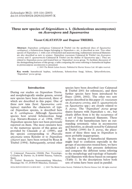 Three New Species of Stigmidium S. L. (Lichenicolous Ascomycetes) on Acarospora and Squamarina