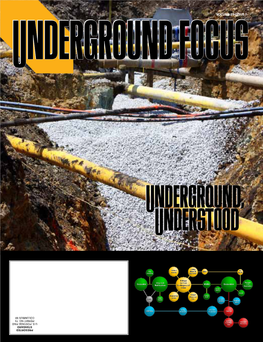VOLUME 25•ISSUE 1 25•ISSUE VOLUME Friends of Underground Focus