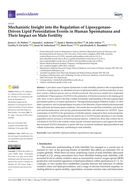 Mechanistic Insight Into the Regulation of Lipoxygenase- Driven Lipid Peroxidation Events in Human Spermatozoa and Their Impact on Male Fertility