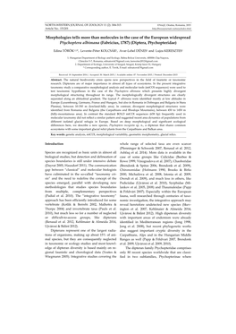 Morphologies Tells More Than Molecules in the Case of the European Widespread Ptychoptera Albimana (Fabricius, 1787) (Diptera, Ptychopteridae)