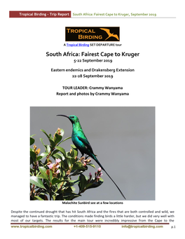 South Africa: Fairest Cape to Kruger, September 2019