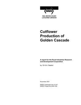Cutflower Production of Golden Cascade