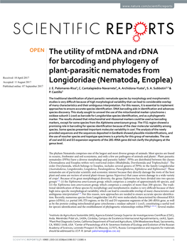 The Utility of Mtdna and Rdna for Barcoding and Phylogeny of Plant