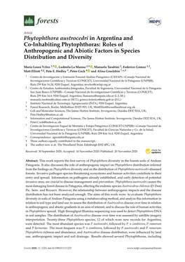 Phytophthora Austrocedri in Argentina and Co-Inhabiting Phytophthoras: Roles of Anthropogenic and Abiotic Factors in Species Distribution and Diversity