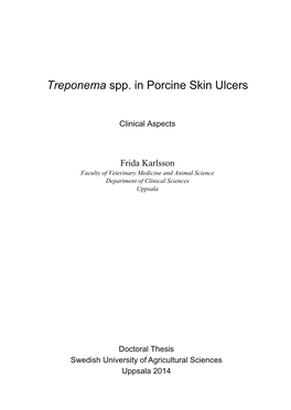 Treponema Spp. in Porcine Skin Ulcers