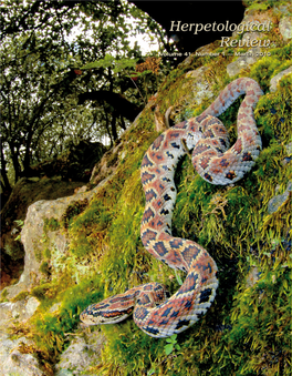 Rediscovery of the Rare Autlán Long-Tailed Rattlesnake, Crotalus Lannomi