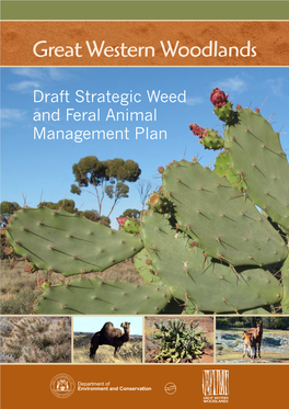 Great Western Woodlands Draft Strategic Weed and Feral Animal Management Plan, Department of Environment and Conservation, Perth