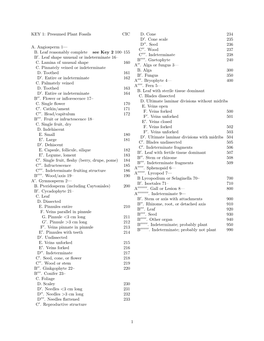 KEY 1: Presumed Plant Fossils CIC A. Angiosperm 1