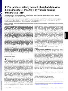 By Voltage-Sensing Phosphatase (VSP)