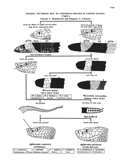 SNAKES: PICTORIAL KEY to VENOMOUS SPECIES in UNITED STATES PART I Chester J