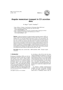 Angular Momentum Transport in CV Accretion Disks