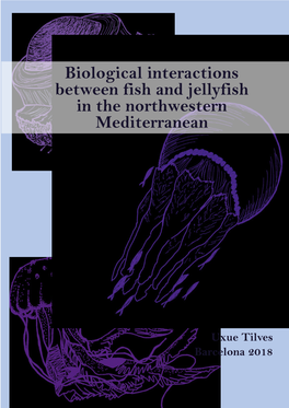 Biological Interactions Between Fish and Jellyfish in the Northwestern Mediterranean