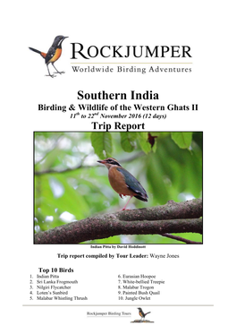 Southern India Birding & Wildlife of the Western Ghats II 11