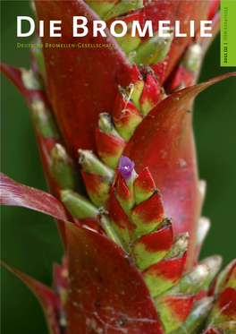 Deutsche Bromelien-Gesellschaft E. V