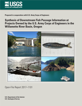 Synthesis of Downstream Fish Passage Information at Projects Owned by the U.S