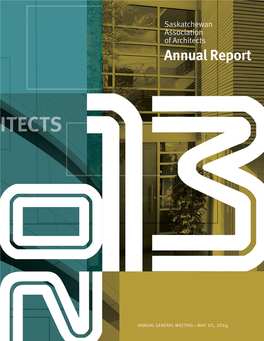 2013 SAA Annual Report