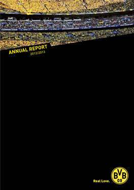 Bvb Annual Report 2012/2013